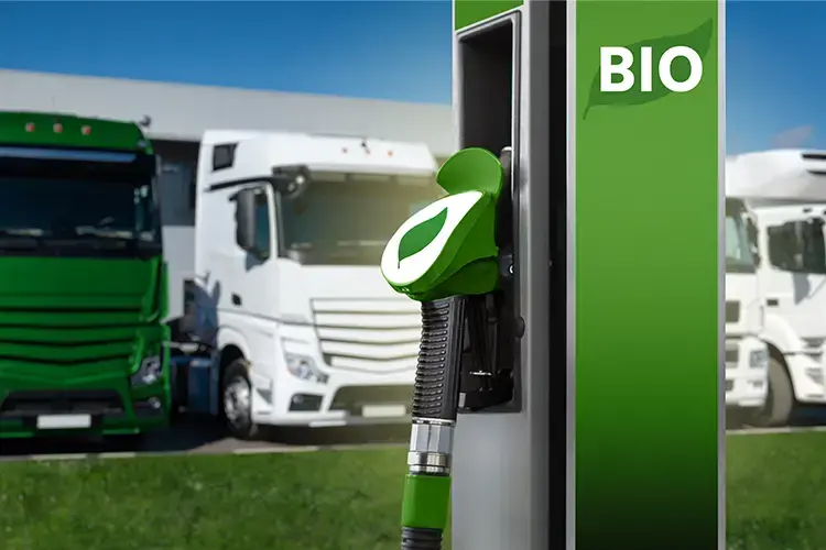 nachhaltige-logistik-unternehmen